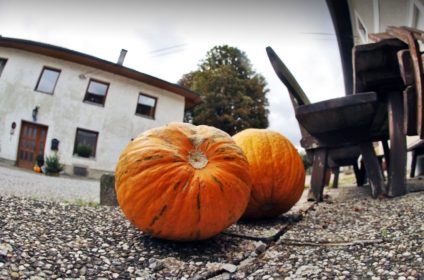 Geymayr Der Bauer hat's