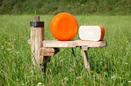 Ziegenhof Leeb Leitenmair