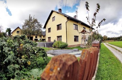 Muehringer Schafkaese