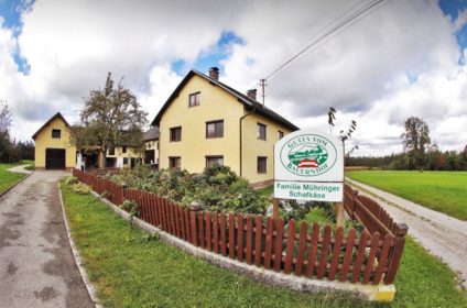 Muehringer Schafkaese